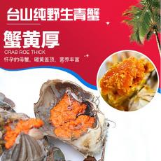 台山优质膏蟹